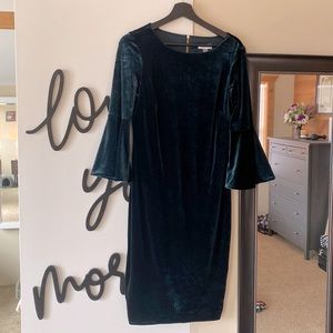 Bell Sleeve Velvet Dress